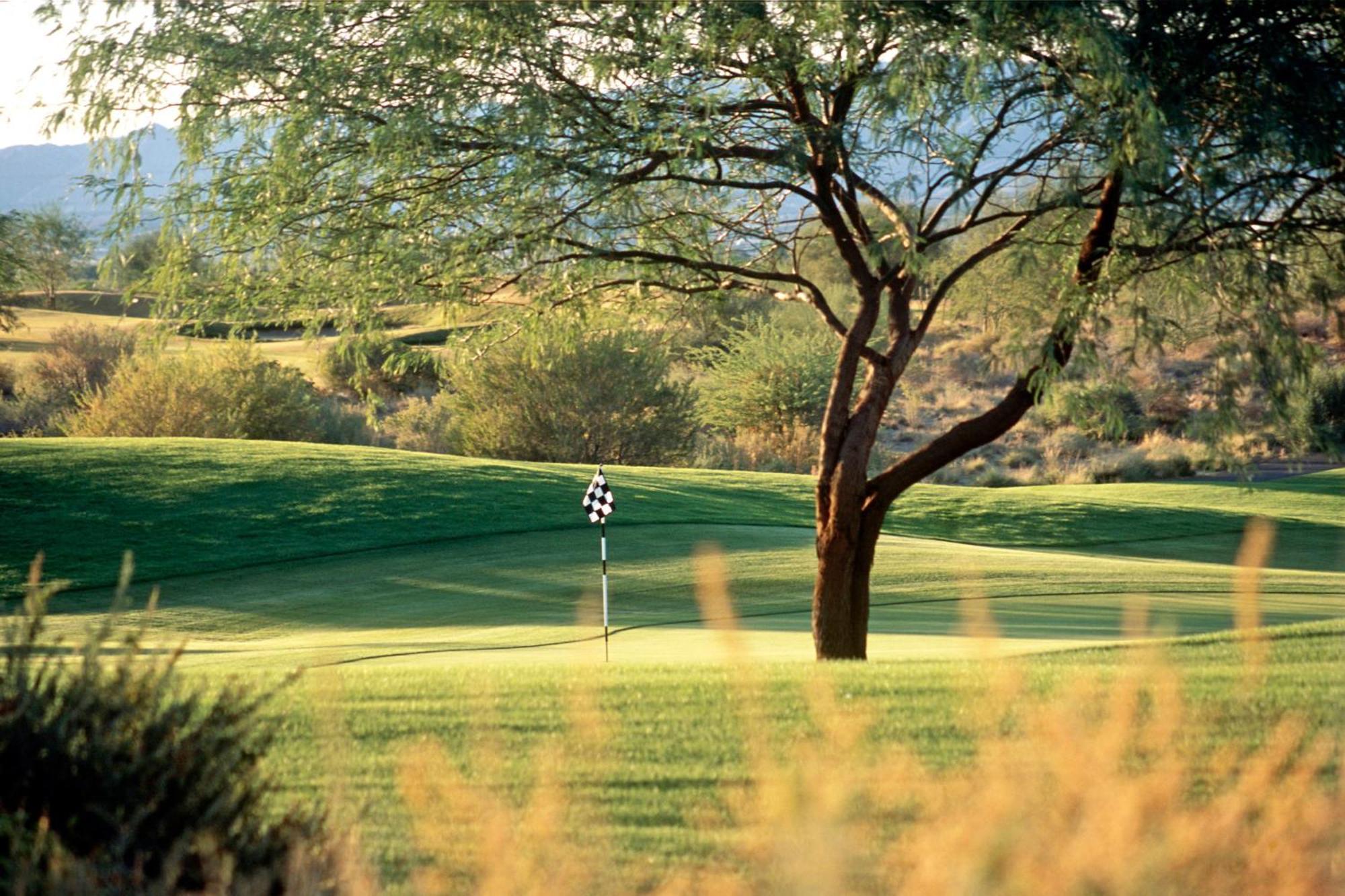 Sheraton Grand At Wild Horse Pass Chandler Bagian luar foto